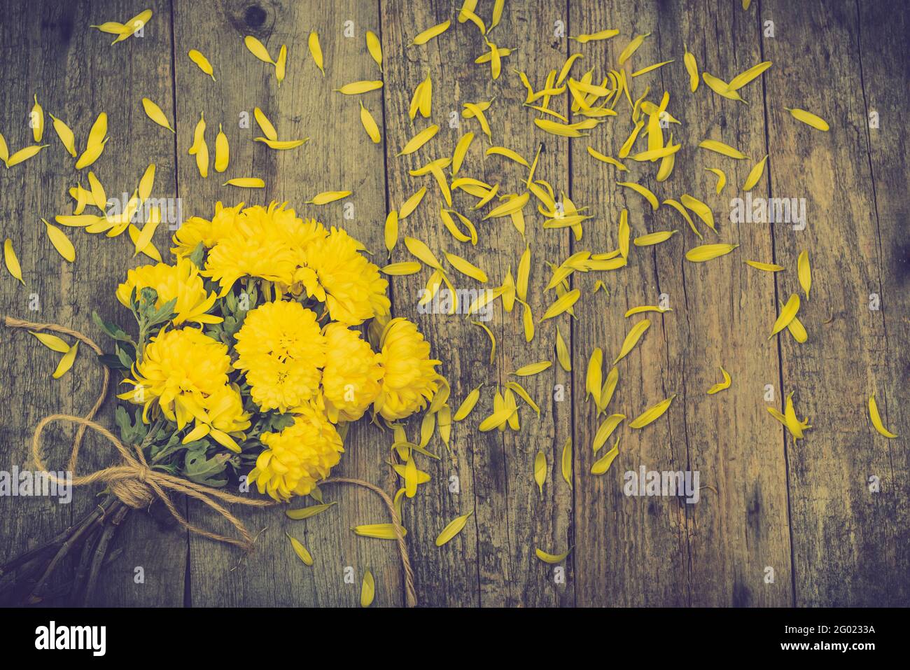 Bouquet jaune de fleurs, fond de jour de la mère ou concept de carte de jour de la femme Banque D'Images