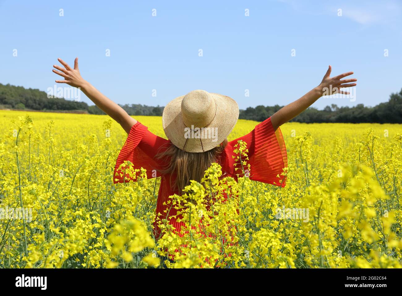 Vue arrière d'une femme excitée dépassant les bras célébrant le printemps dans un champ de fleurs jaunes Banque D'Images