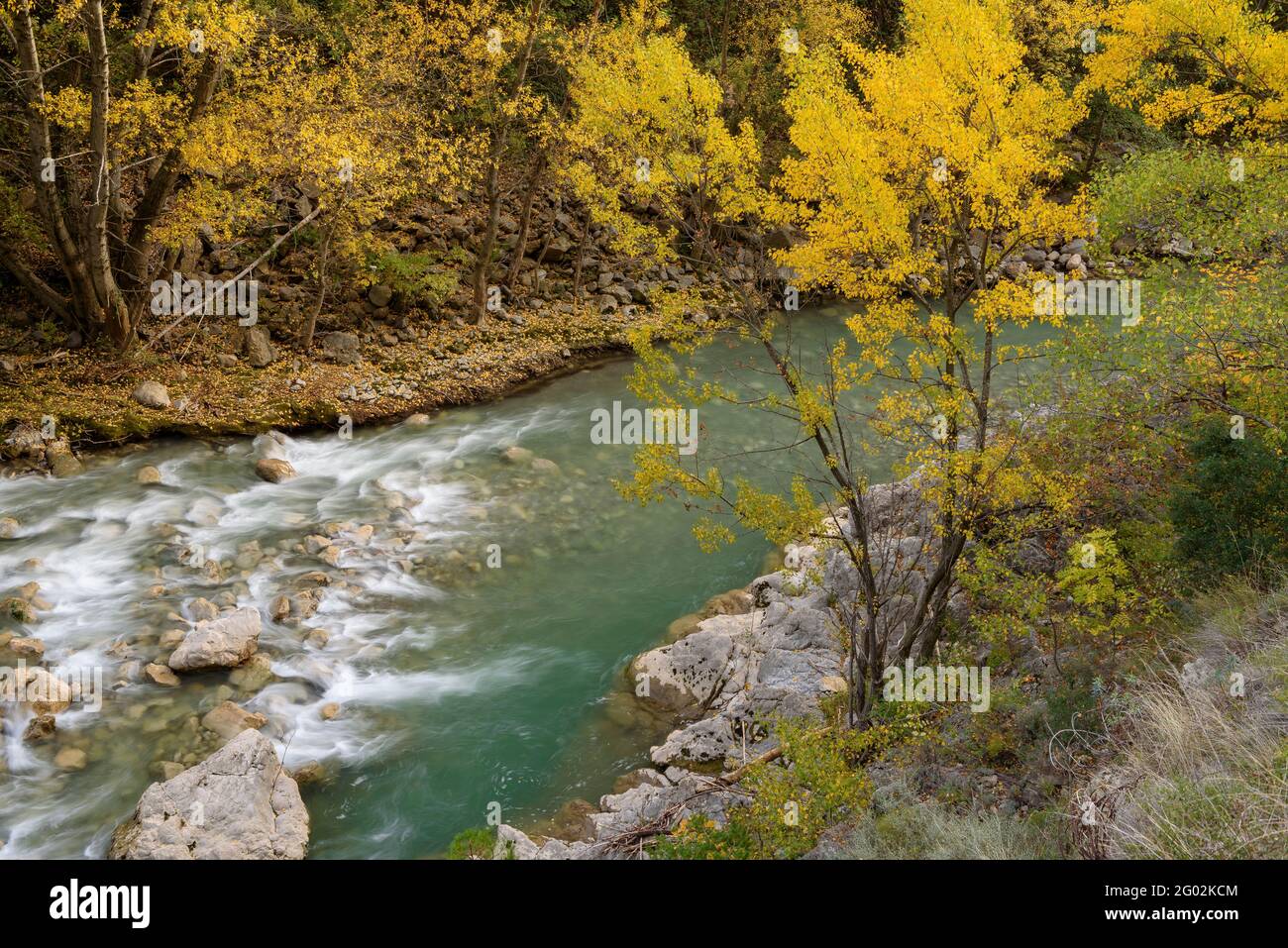 Rivière Llobregat au pont del Far, à Cercs, en automne (Berguedà, Catalogne, Espagne, Pyrénées) ESP: Río Llobregat a la altura del Pont del Far Banque D'Images