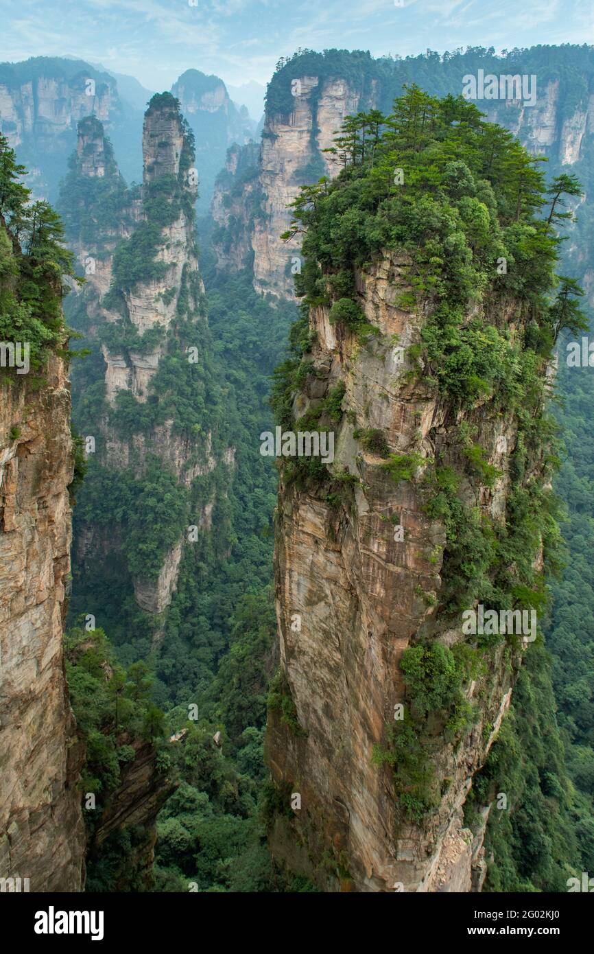 Avatar Hallelujah, zone panoramique de Yuanjiajie, Wulingyuan Banque D'Images