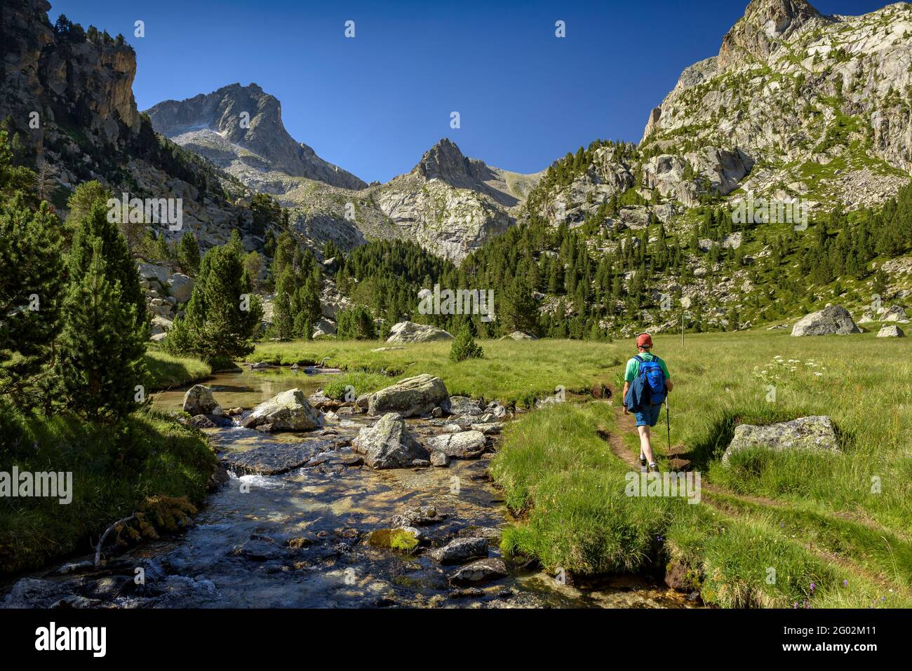 Vallée de Monestero. En arrière-plan, le pic de Peguera (Parc national d'Aiguestortes i Estany de Sant Maurici, Catalogne, Espagne, Pyrénées) Banque D'Images