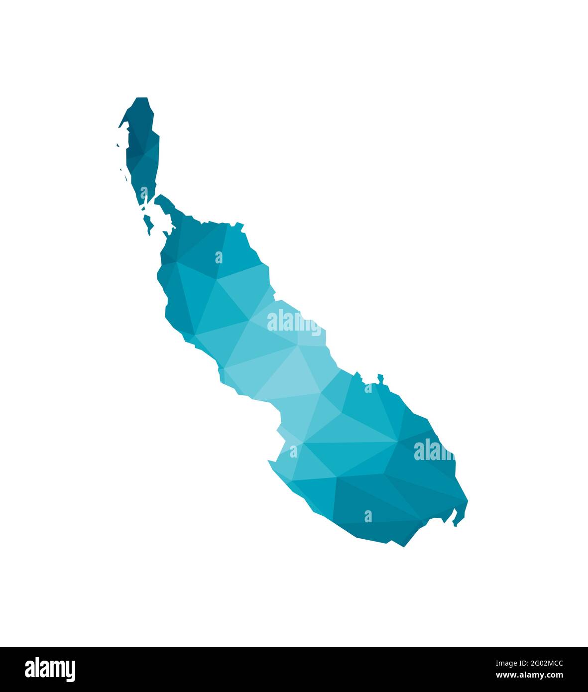 Icône d'illustration vectorielle isolée avec silhouette simplifiée de l'île de Bougainville et de l'île de Buka sur une carte bleue. Style poly bas. Arrière-plan blanc. Illustration de Vecteur