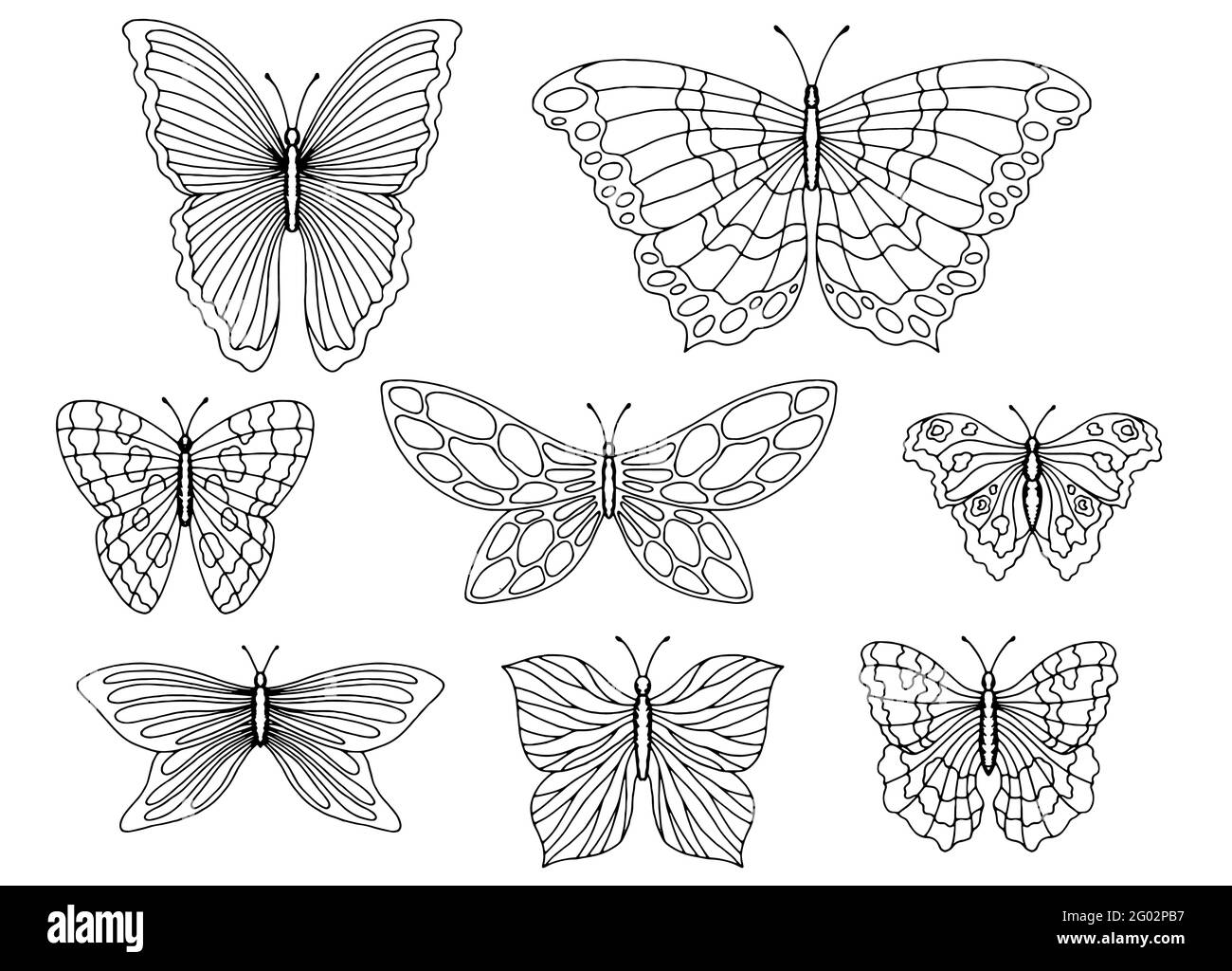 Papillon Set graphique noir blanc isolé esquisse vecteur d'illustration Illustration de Vecteur