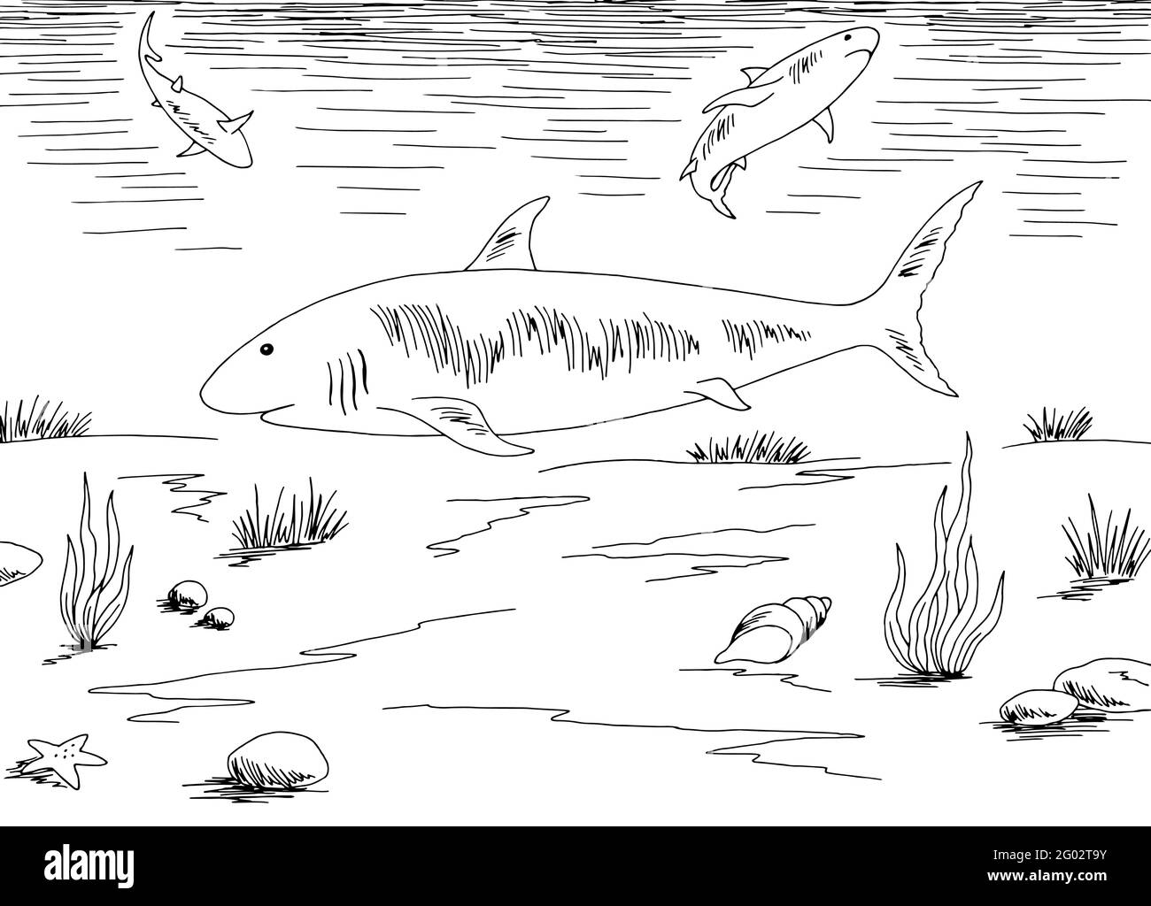Shark graphiques sous-marin mer noir blanc esquisse illustration vecteur Illustration de Vecteur