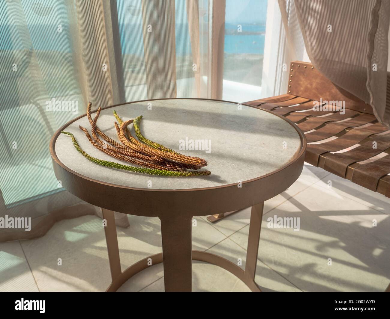 Branches vertes et orange de l'araucaria sur une table à la texture marbre, chaise en cuir devant une fenêtre panoramique coulissante du sol au plafond. Banque D'Images