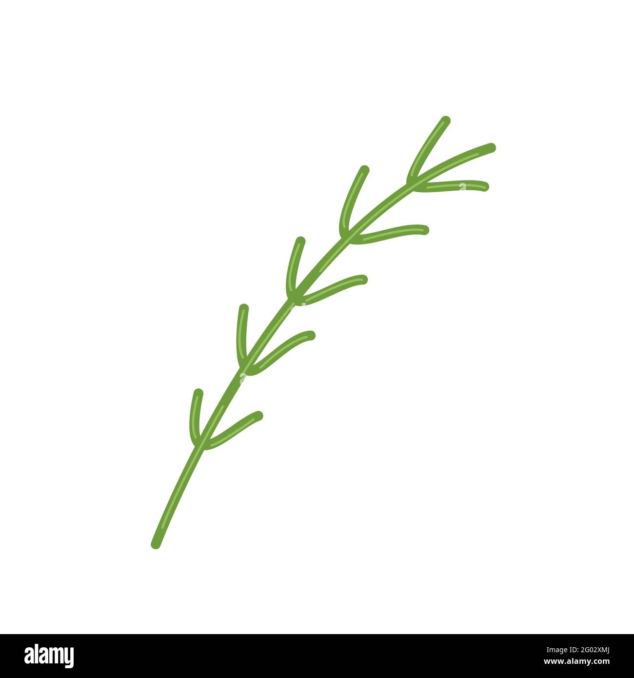 Branche de romarin frais, herbes parfumées pour la cuisine, clipart vecteur de style plat, isolat sur blanc Illustration de Vecteur