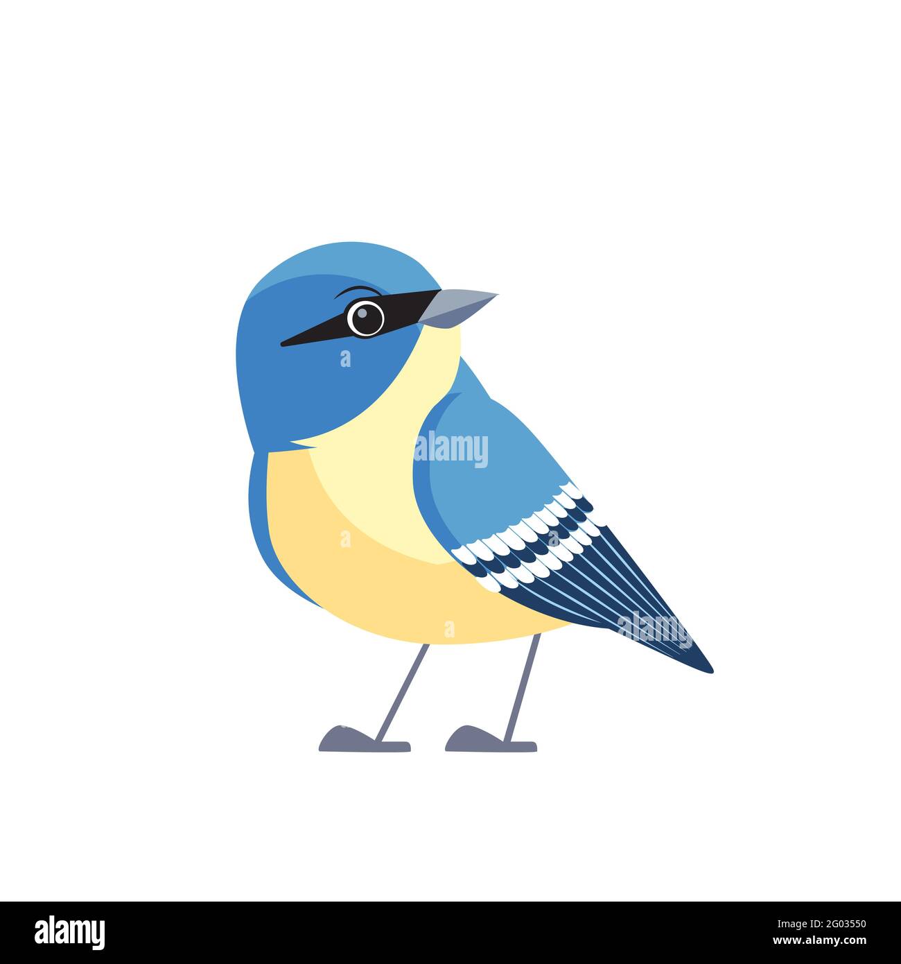 Le nuthatch à la poitrine blanche est un petit oiseau de la famille des nuthatch commun en Amérique du Nord. Dessin animé style plat beau caractère d'ornithologie Illustration de Vecteur