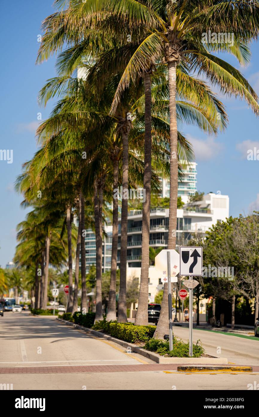 Rue de Miami Beach avec palmiers Banque D'Images