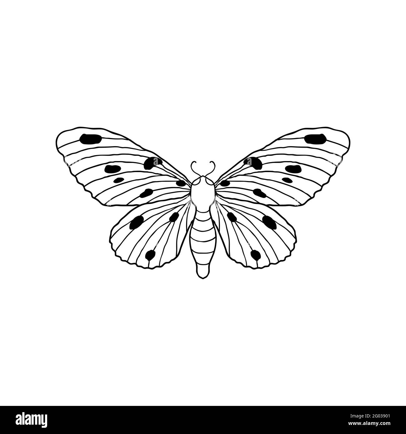 Imprimé papillon Banque d'images détourées - Page 3 - Alamy