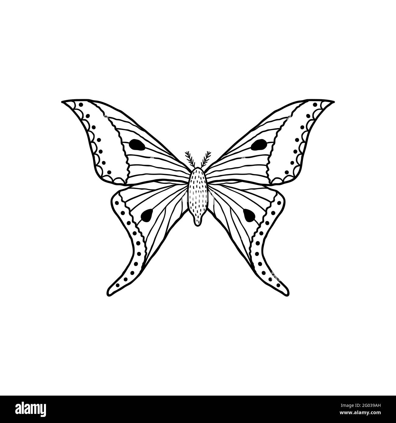 Papillon en forme de doodle Illustration de Vecteur