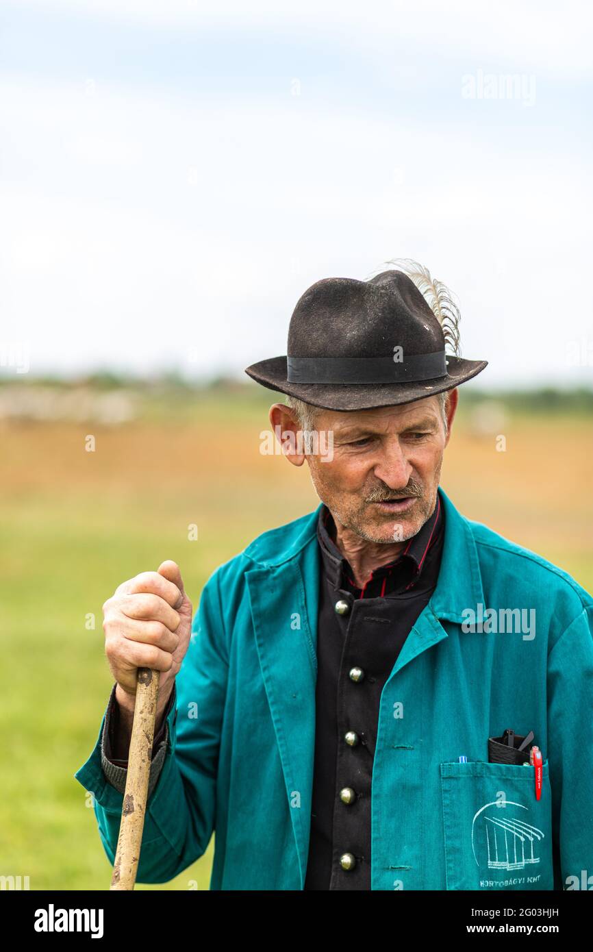 Portrait d'un berger traditionnel de troupeau de bétail gris de la campagne Hongrie Banque D'Images