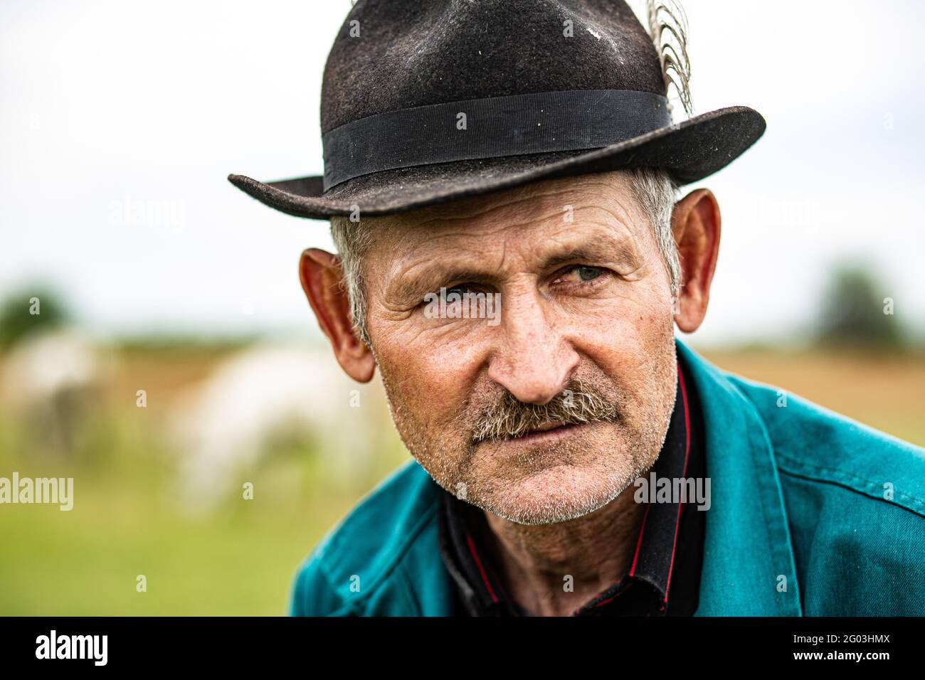 Portrait d'un berger traditionnel de troupeau de bétail gris de la campagne Hongrie Banque D'Images