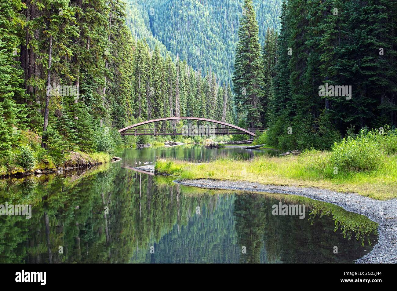 Pont Rainbow, Manning Park, B. C., Canada, Banque D'Images