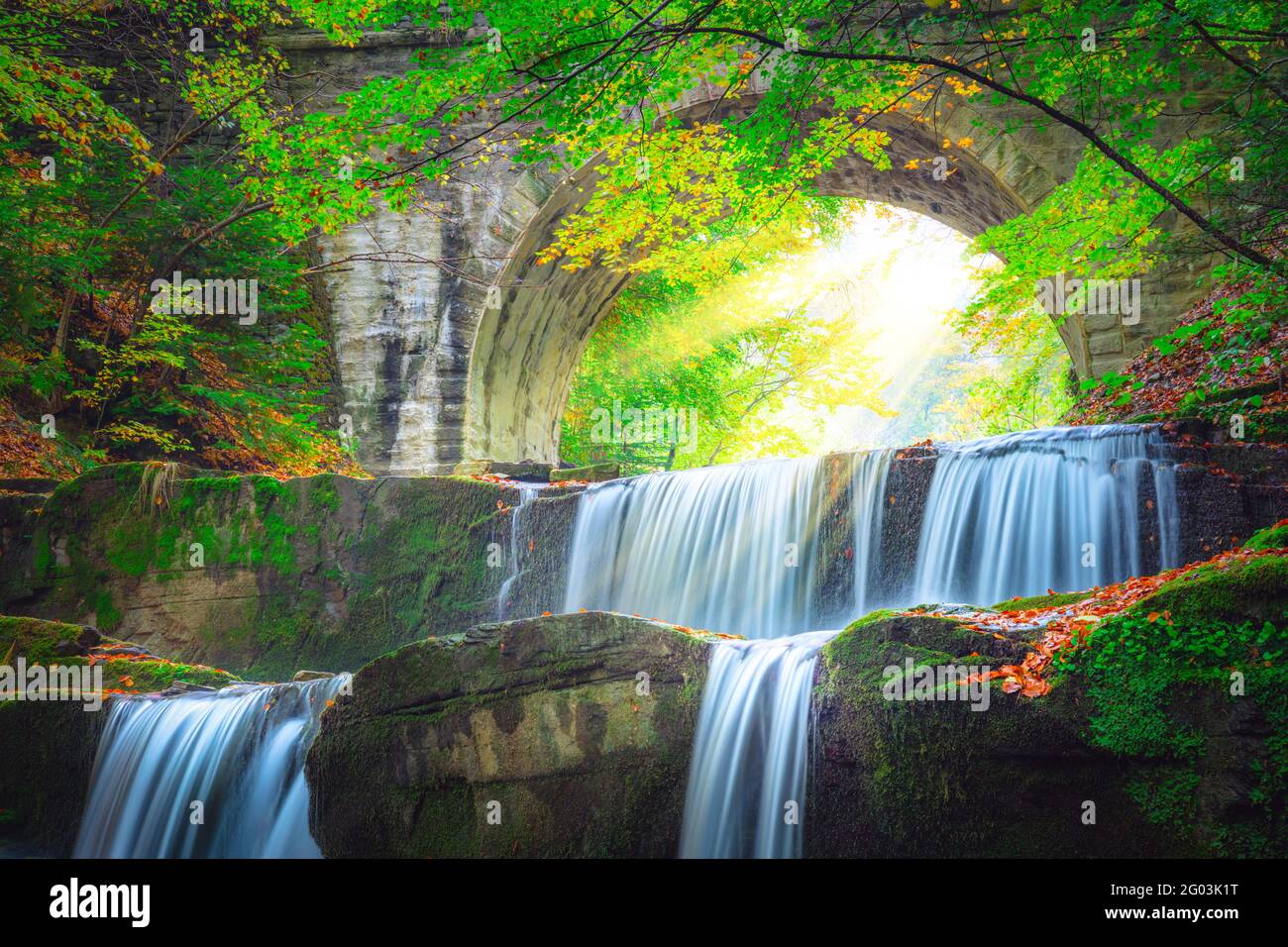 Paysage de Freshi - cascade de rivière dans le parc coloré de forêt de montagne avec vieux pont et soleil Banque D'Images