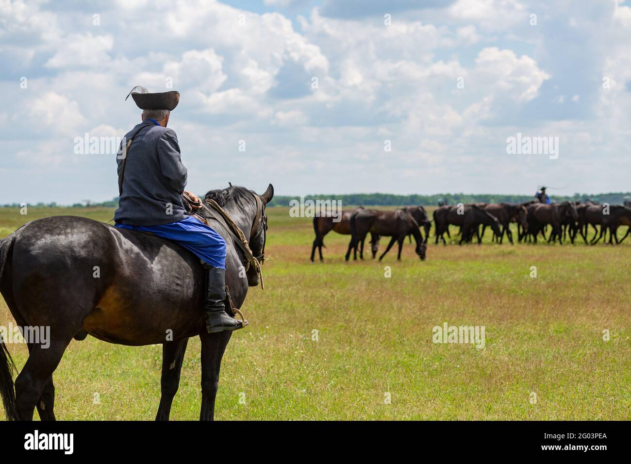 Des moments de la vie quotidienne du célèbre Noius Stud à Hortobagy, dans la campagne de l'est de la Hongrie Banque D'Images