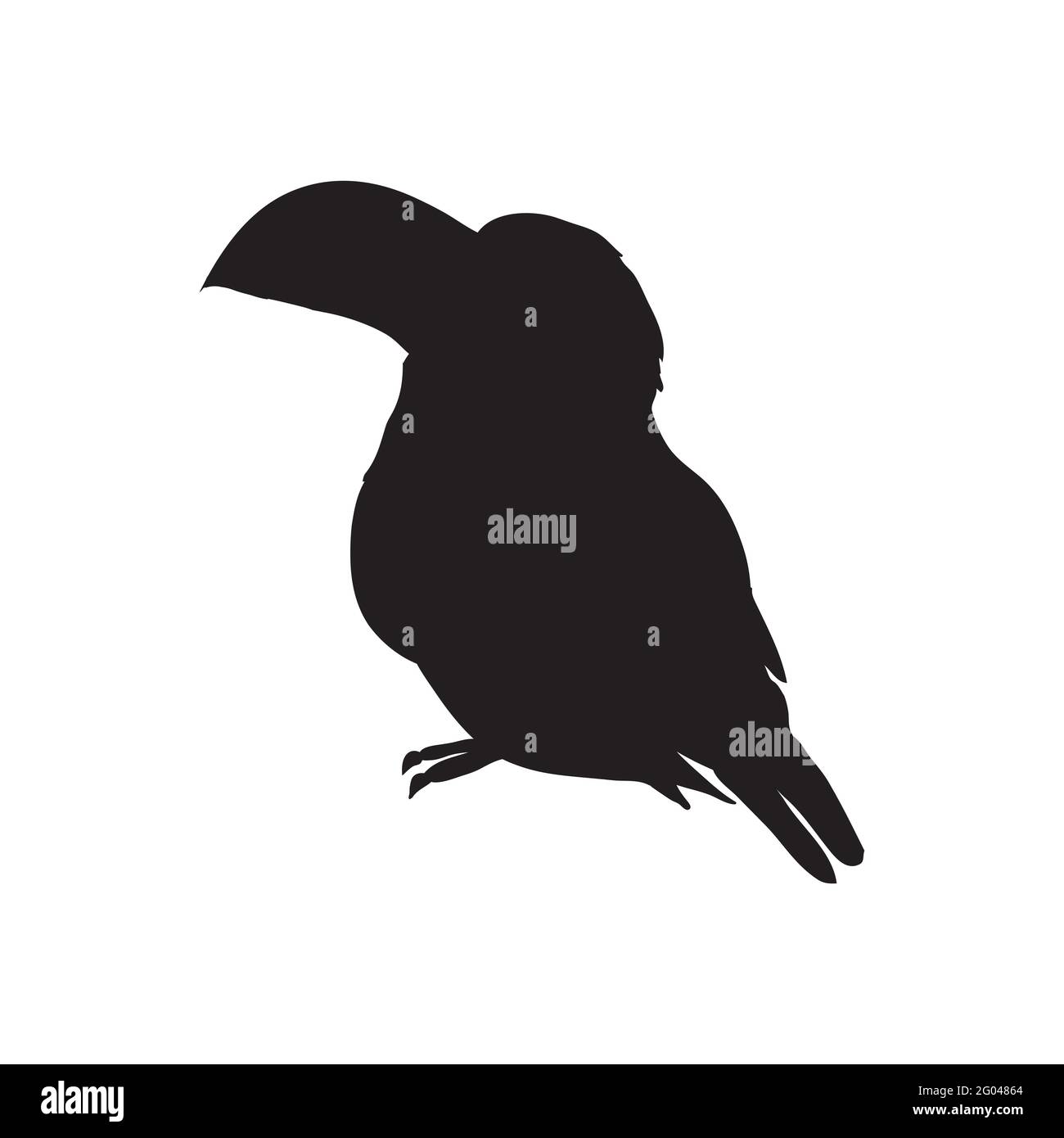 Illustration vectorielle d'une silhouette toucan isolée sur un fond blanc. Profil de vue latérale du Tucan. Illustration de Vecteur