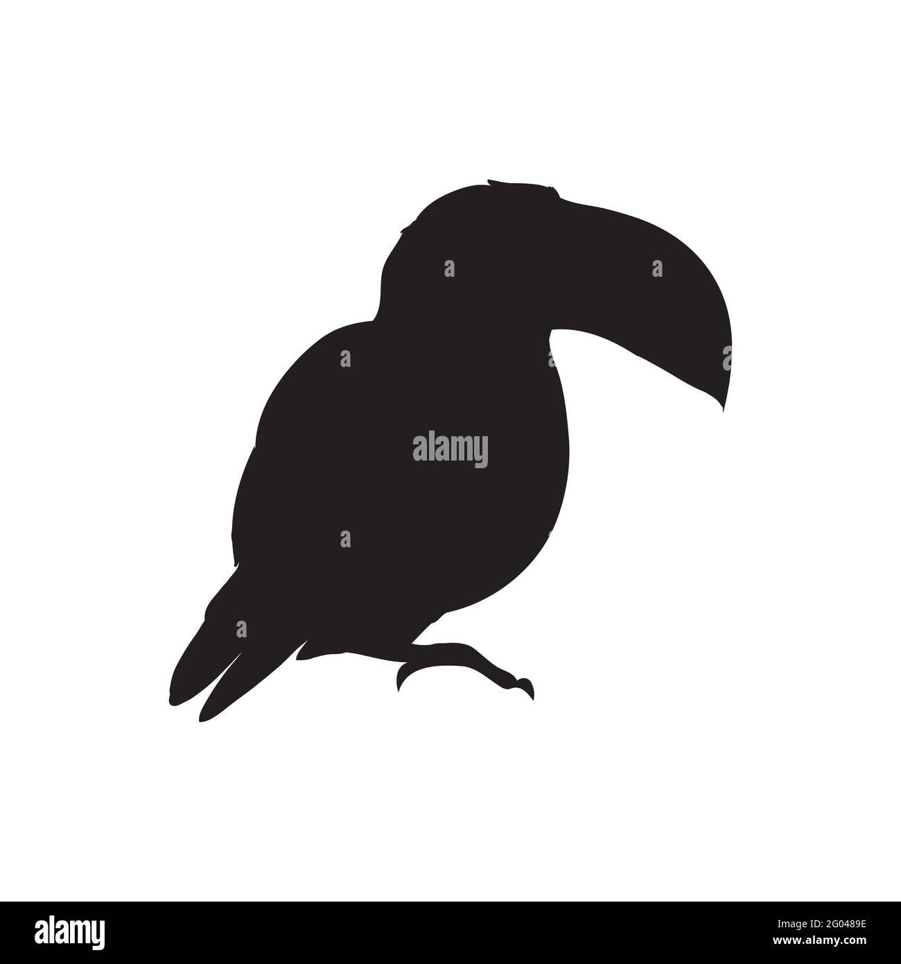 Illustration vectorielle d'une silhouette toucan isolée sur un fond blanc. Profil de vue latérale du Tucan. Illustration de Vecteur