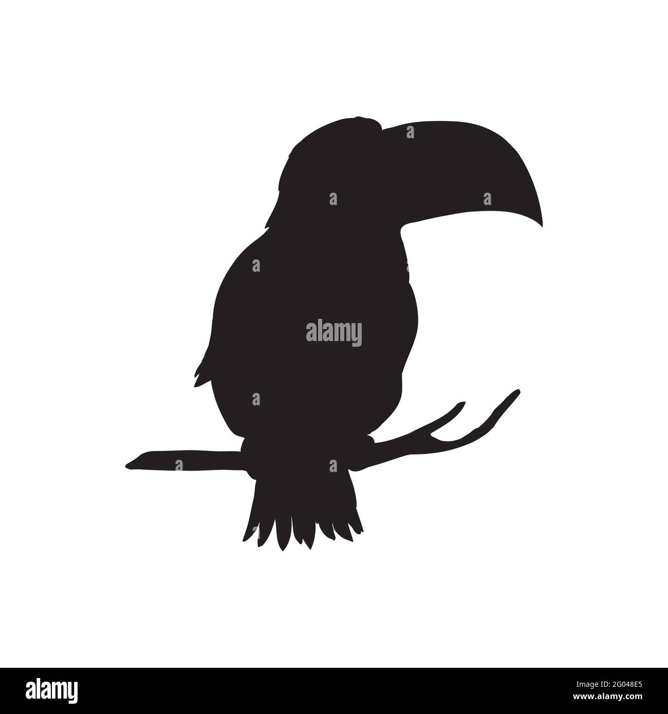 Illustration vectorielle d'une silhouette toucan isolée sur un fond blanc. Profil de vue latérale du Tucan. Illustration de Vecteur
