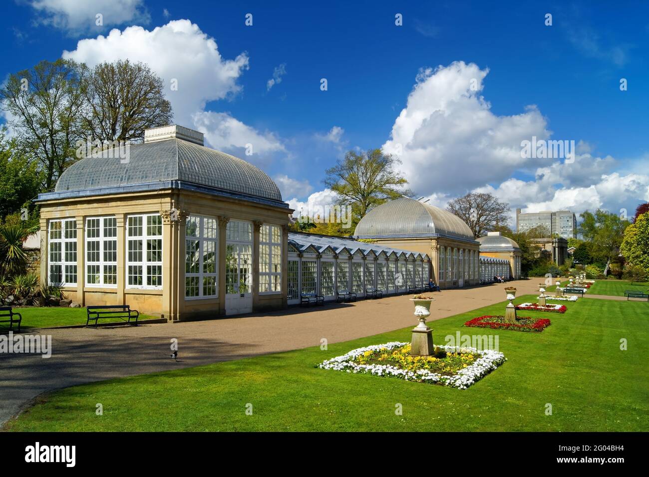 Royaume-Uni, Yorkshire du Sud, Sheffield, jardins botaniques et maisons en verre au printemps Banque D'Images
