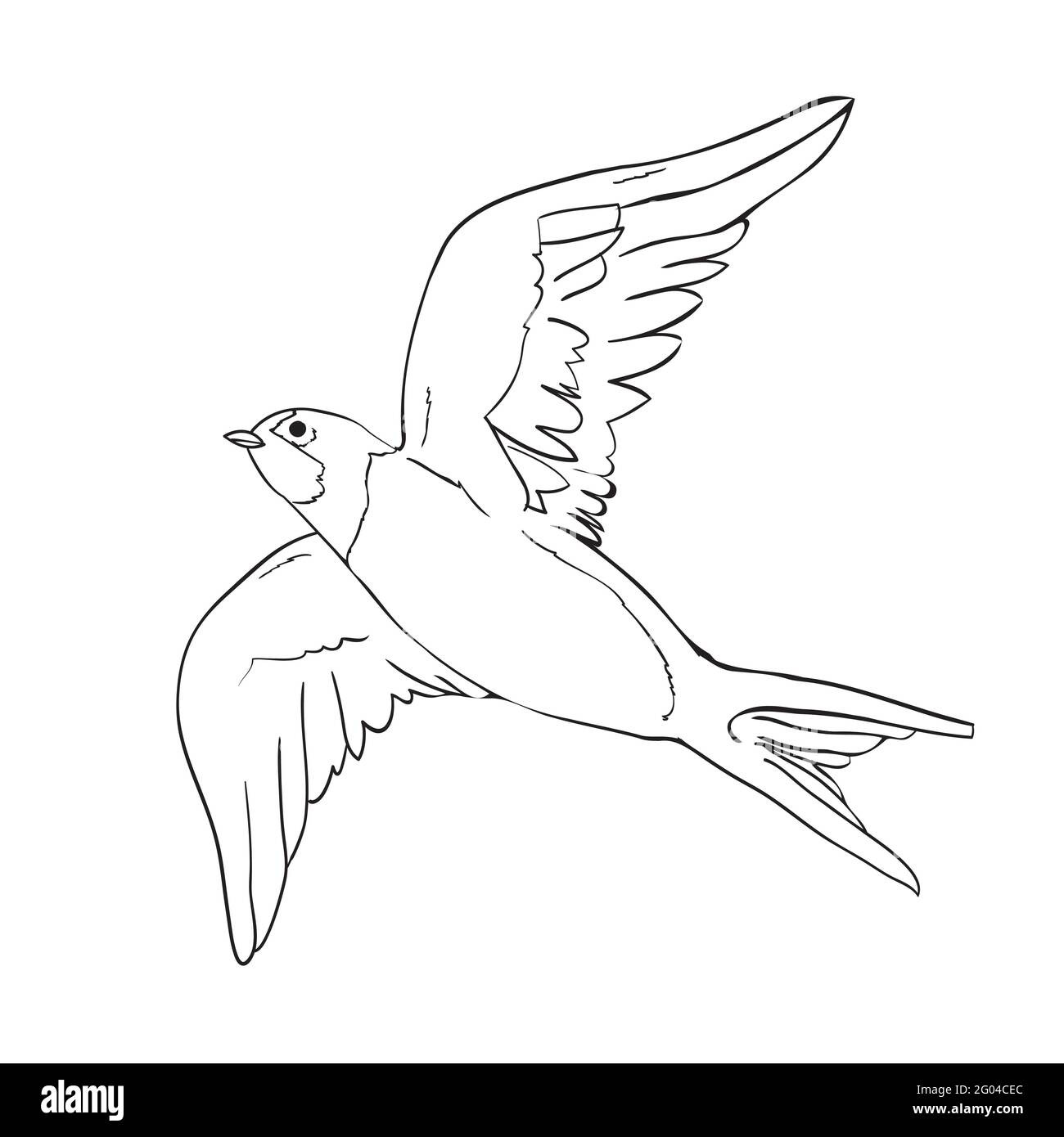 Silhouette noire contour vol hirondelle, isolé sur blanc. Illustration du tatouage vectoriel. Illustration de Vecteur