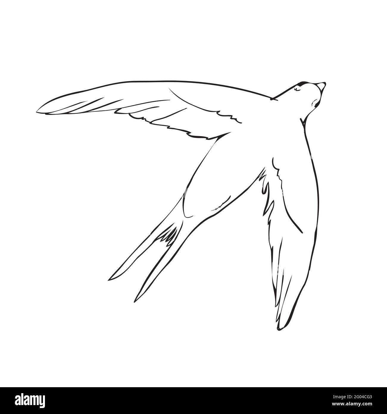 Silhouette noire contour vol hirondelle, isolé sur blanc. Illustration du tatouage vectoriel. Illustration de Vecteur