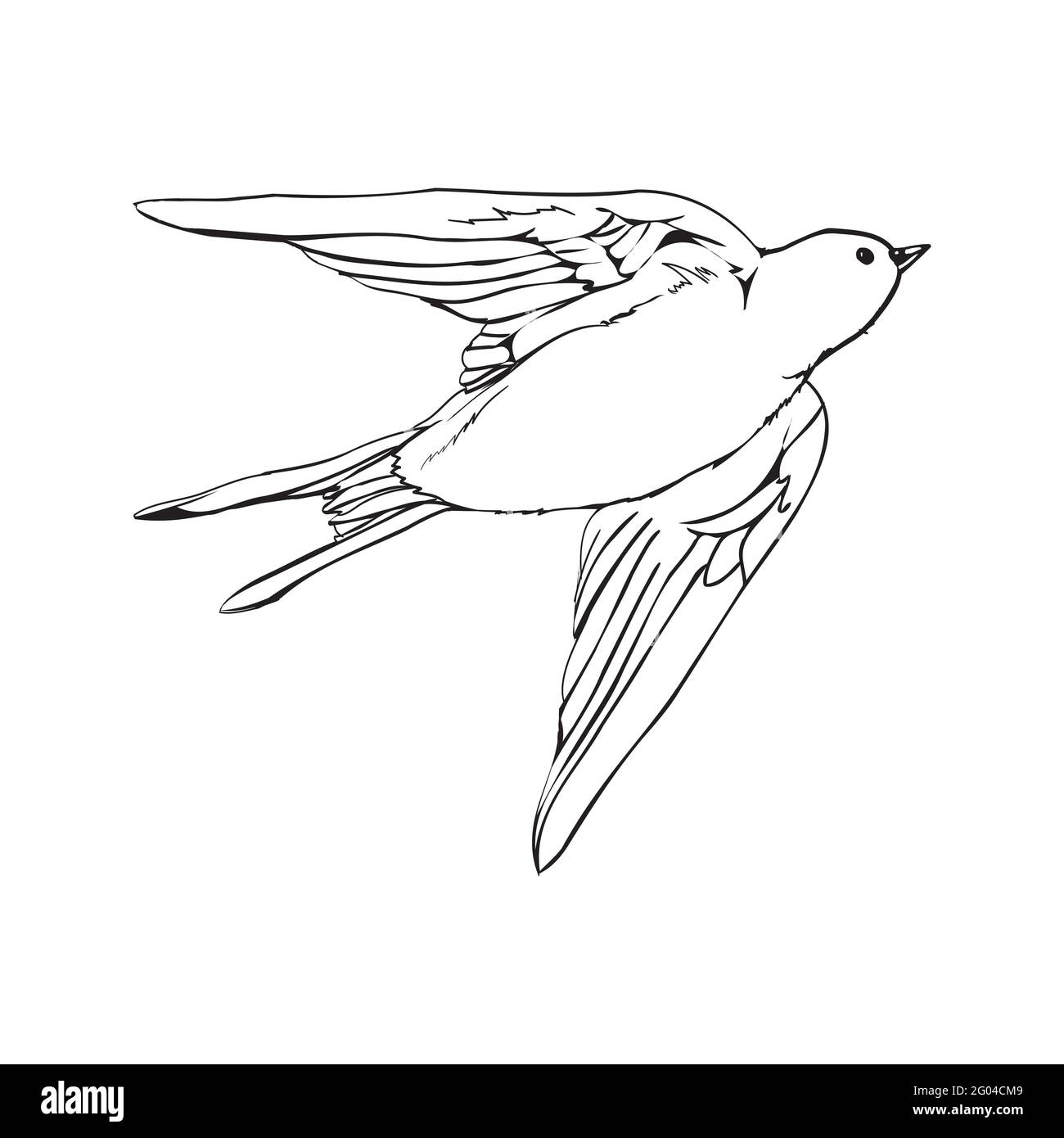 Silhouette noire contour vol hirondelle, isolé sur blanc. Illustration du tatouage vectoriel. Illustration de Vecteur