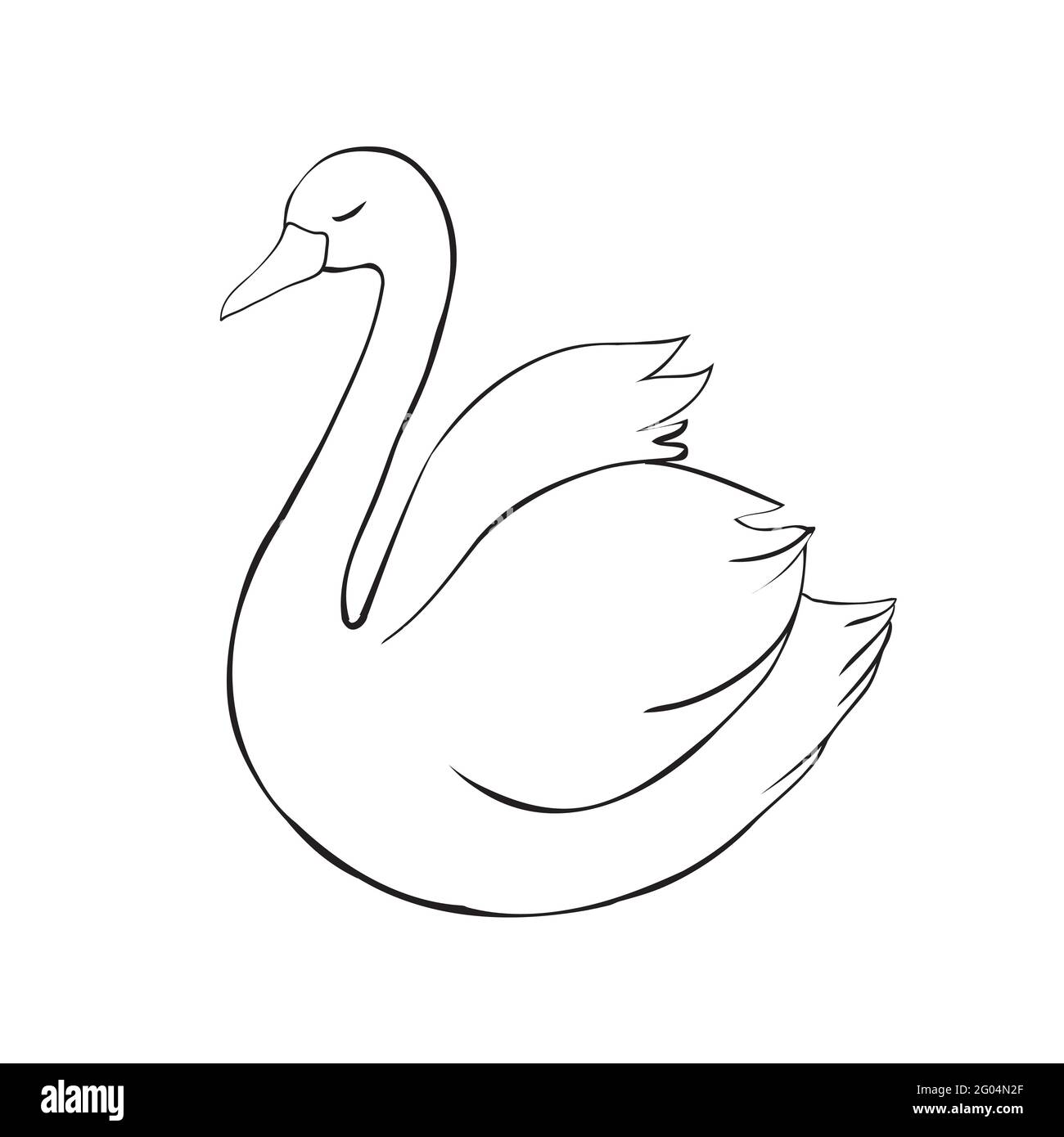 Esquisse Swan. Oiseau noir isolé sur fond blanc. Illustrations vecteur Illustration de Vecteur