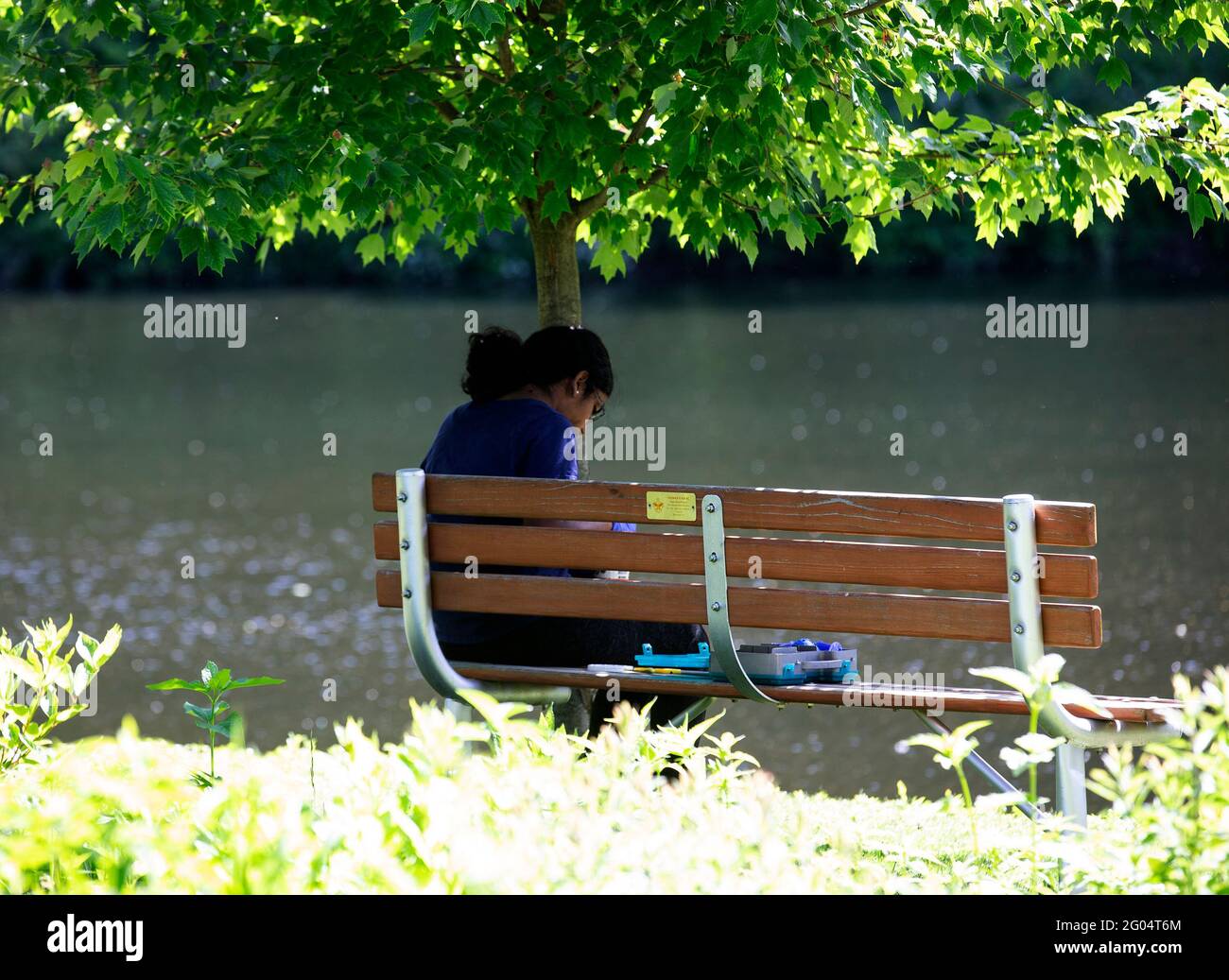 Une adolescente lit sous un arbre Banque D'Images