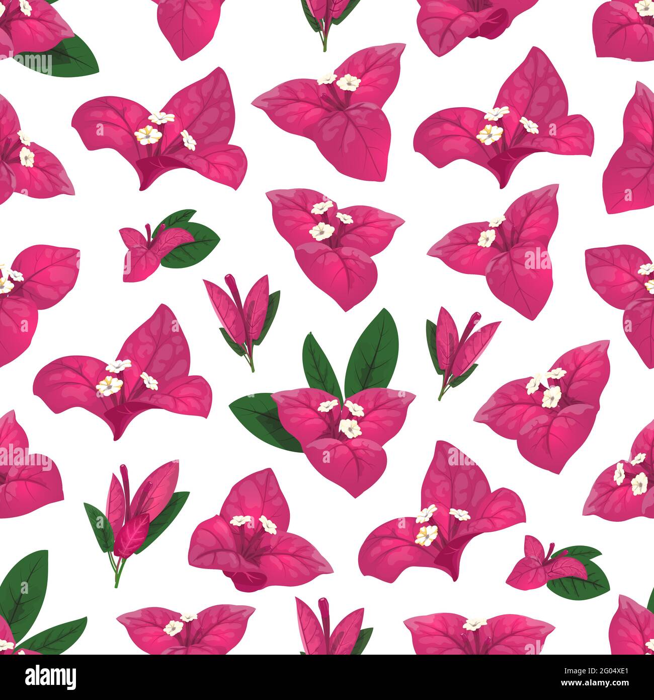 Bougainvilliers motif sans couture de fleurs blanches vectorielles, de feuilles roses et vertes. Fond floral de bougainvilliers et de branches et de vignes florales, de fleurs Illustration de Vecteur