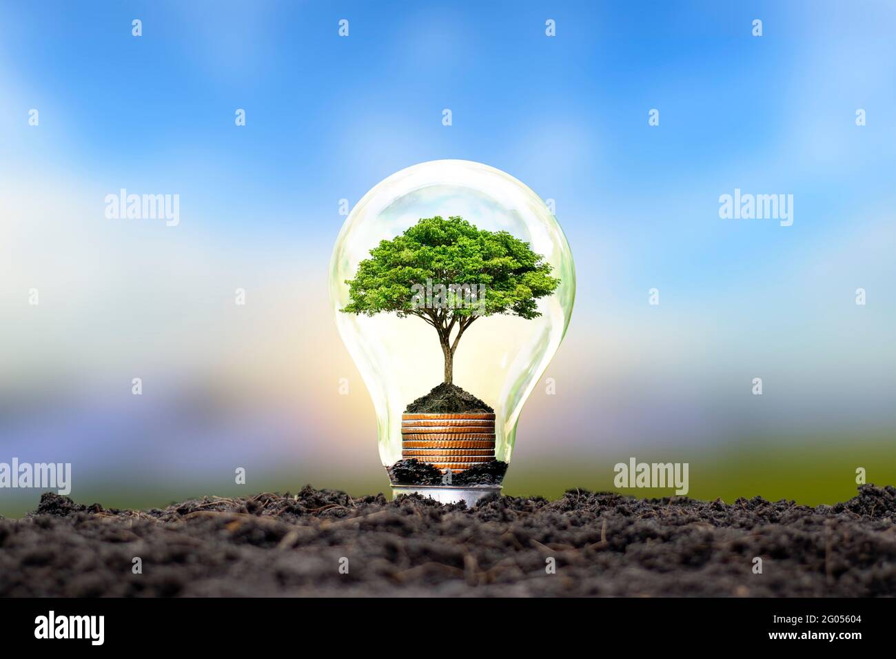 Arbre poussant sur une pièce d'argent dans une ampoule économie d'énergie et concept environnemental le jour de la terre. Banque D'Images