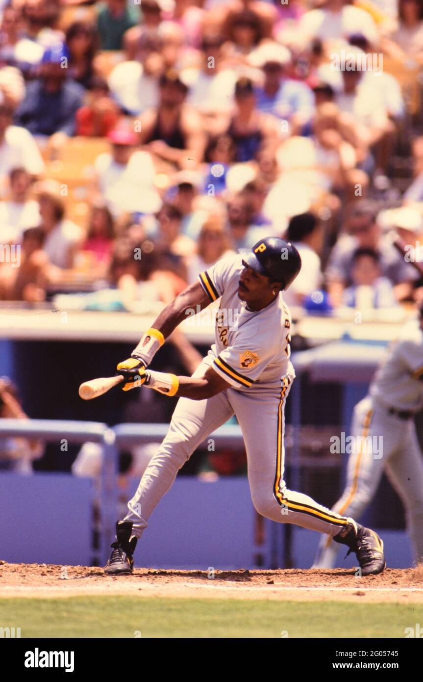 Pittsburgh Pirates outfielder Barry Bond -- Veuillez créditer le photographe Kirk Schlea Banque D'Images