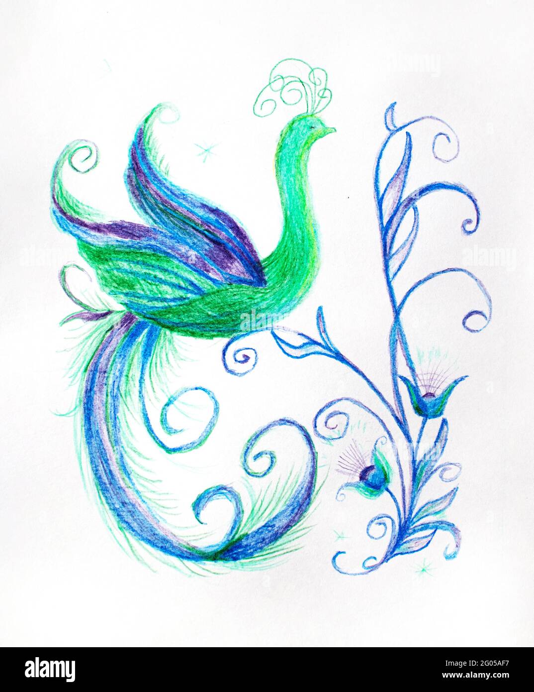 Magnifique Firebird avec une queue de conte de fées. Phoenix. Oiseau mythique. Illustration. Banque D'Images