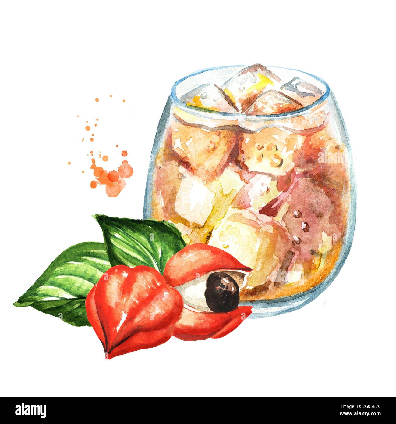 Verre de boisson sans alcool au guarana avec glaçons et baies au guarana.  Aquarelle illustration dessinée à la main isolée sur fond blanc Photo Stock  - Alamy