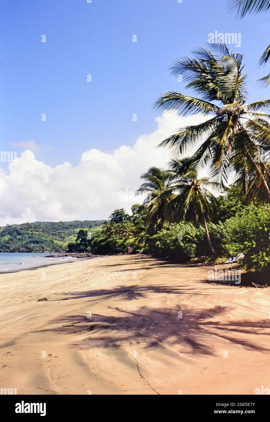 Années 1990 Trinité-et-Tobago - Granby Beach à Tobago ca. 1996 Banque D'Images