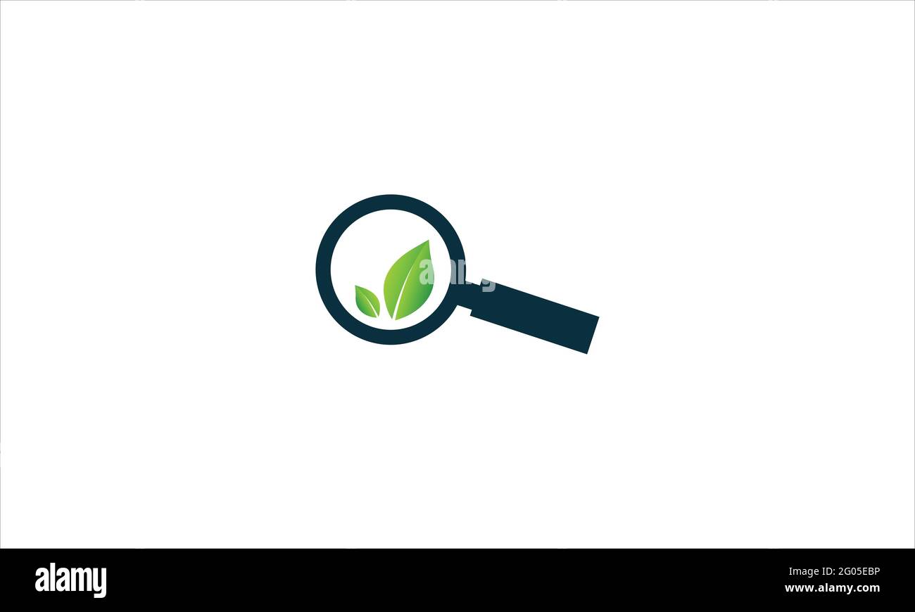 Feuille avec loupe icône de recherche logo illustration vectorielle Illustration de Vecteur