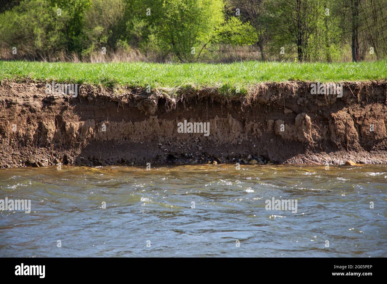 Une rive verticale avec une paroi abrupte de terre adaptée à l'imbrication de kingfisher Banque D'Images