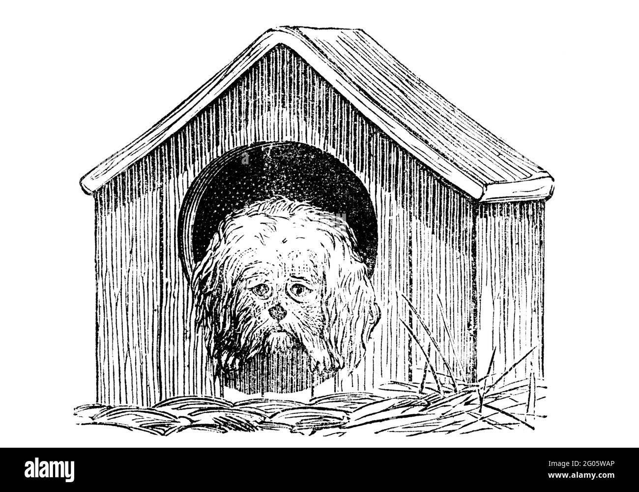 Niche A Chien Banque D Images Noir Et Blanc Alamy Niche A Chien Banque D Images Noir Et Blanc Alamy