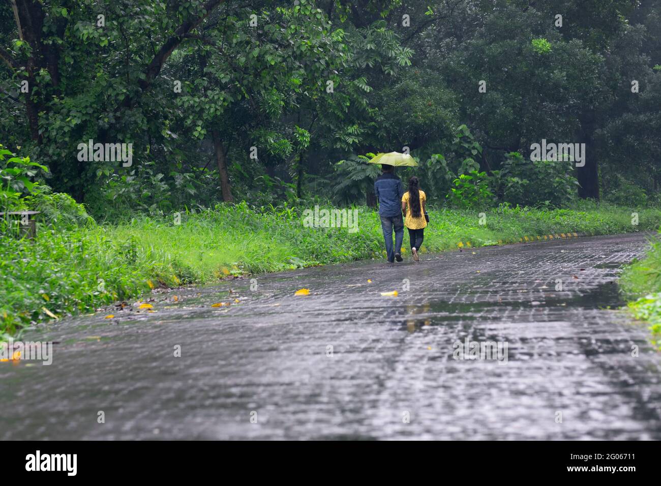 Couple romantique avec un parapluie marchant et disparu dans la nature, image conceptuelle de stock de la saison des pluies, Kolkata, Bengale occidental. Mousson de l'Inde. Banque D'Images