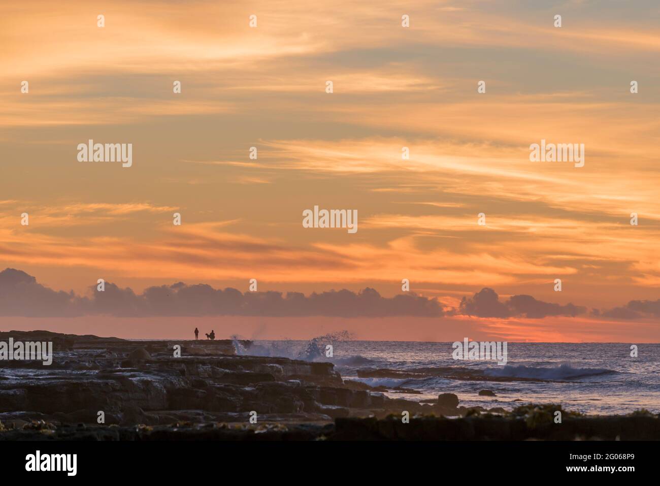 Un couple silhoueté et son chien se tiennent sur un plateau rocheux juste avant le lever du soleil à Culburra Beach (sud) sur la côte sud de la Nouvelle-Galles du Sud de l'Australie Banque D'Images