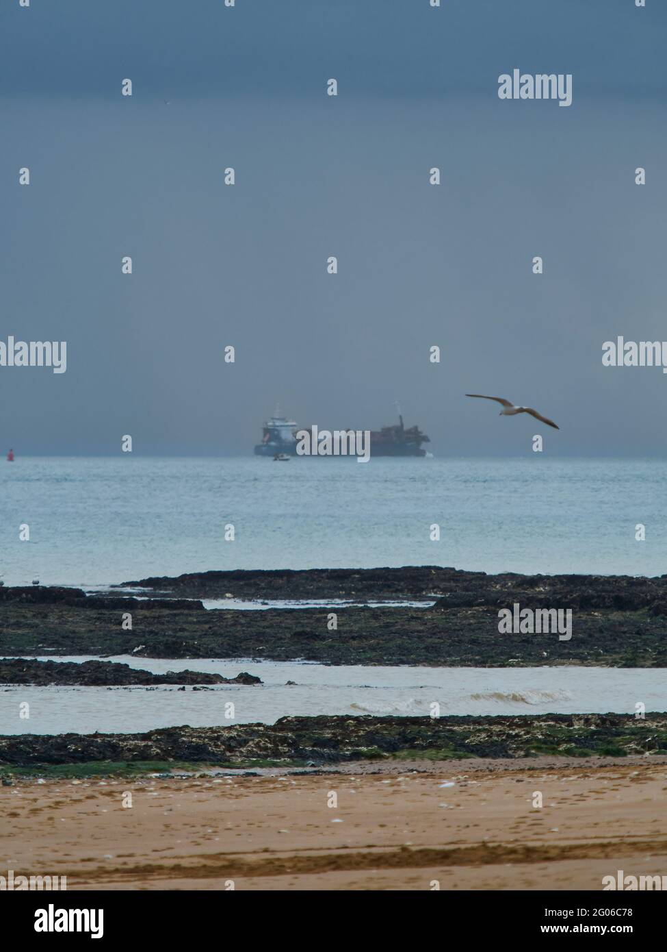 Une vue imprenable depuis la plage de Broadtairs, avec un énorme bateau à conteneurs à l'horizon et un goéland qui s'envolent sur l'aile pour apporter vie et mouvement. Banque D'Images