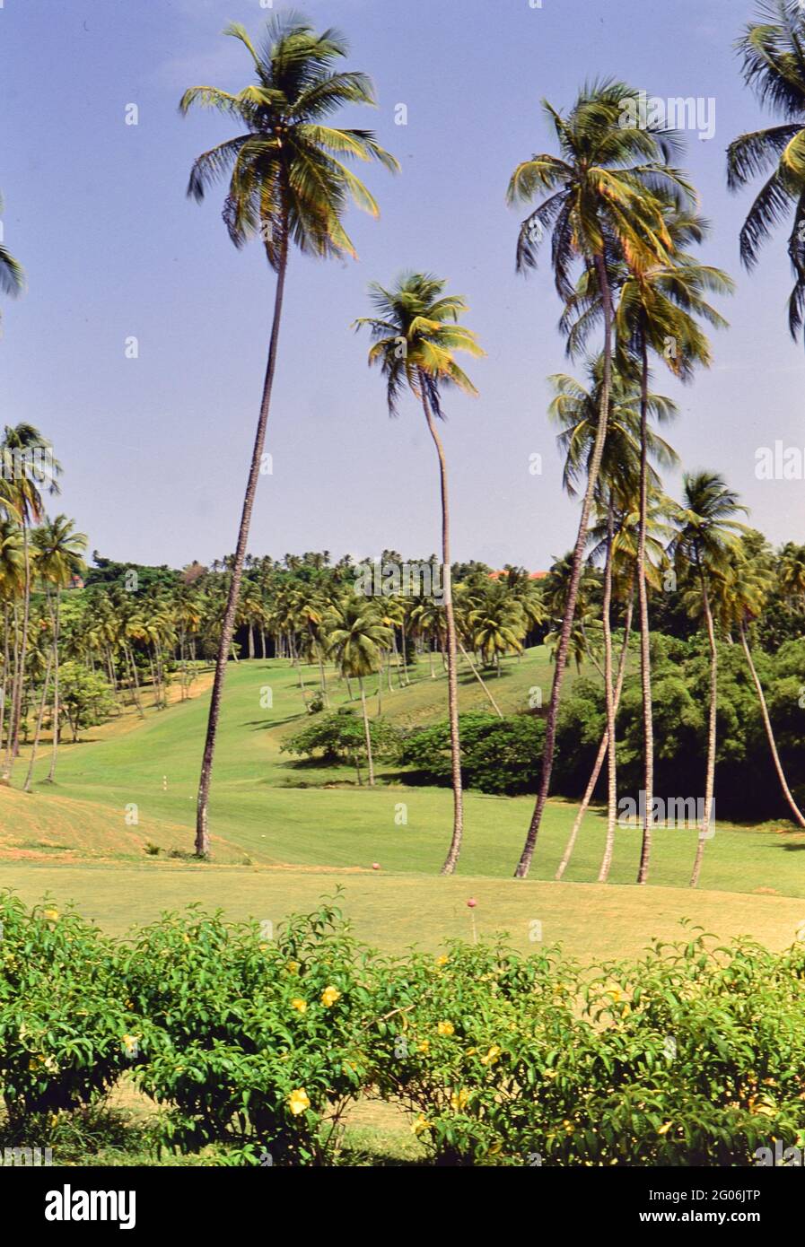 Années 1990 Trinité-et-Tobago - Mt. Parcours et club de golf d'Irvine à Tobago ca. 1996 Banque D'Images