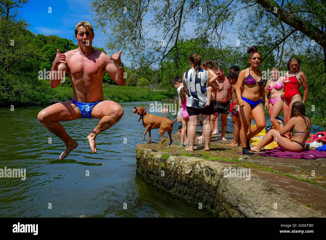Les nageurs et les baigneurs sautent dans l'eau en profitant du temps chaud à Warleigh Weir, Bath, le premier jour de l'été météorologique. Date de la photo: Mardi 1er juin 2021. Banque D'Images