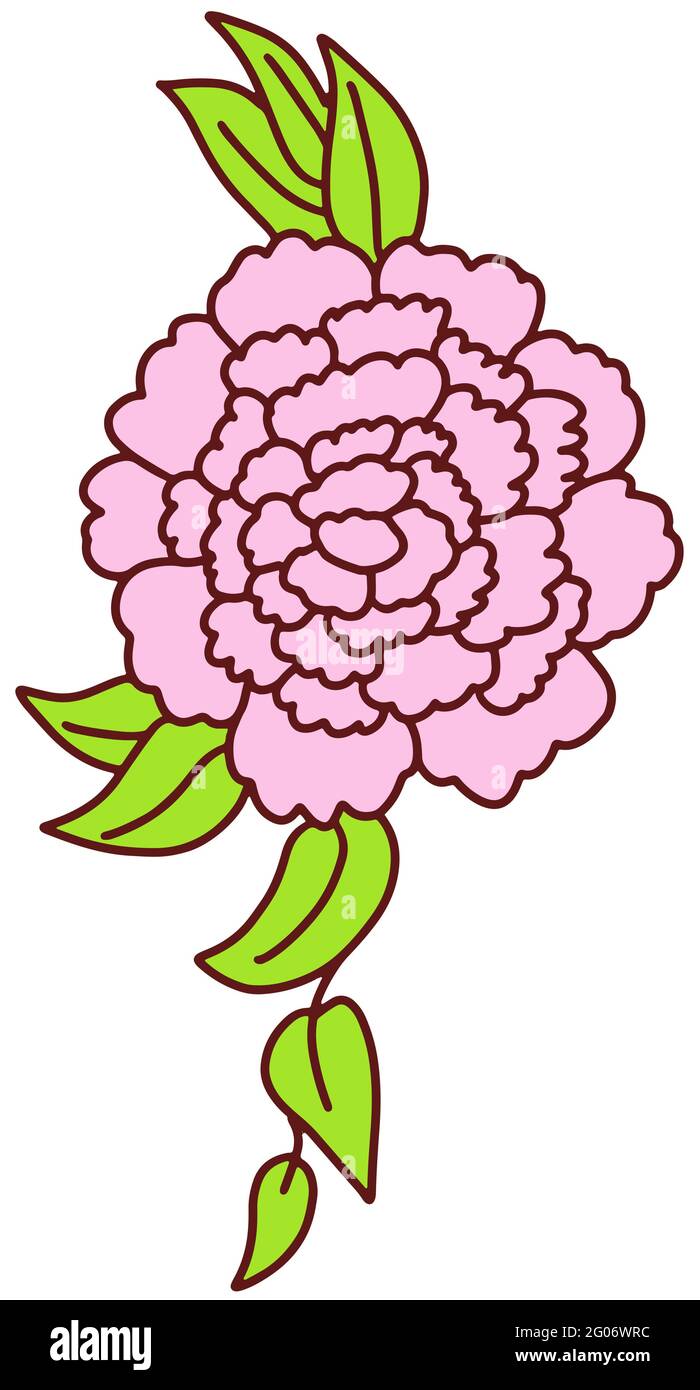 Fleur de pivoine rose et bouton boutonnière un petit bouquet. Ligne de  style Doodle dessinée à la main . Illustration vectorielle Image  Vectorielle Stock - Alamy