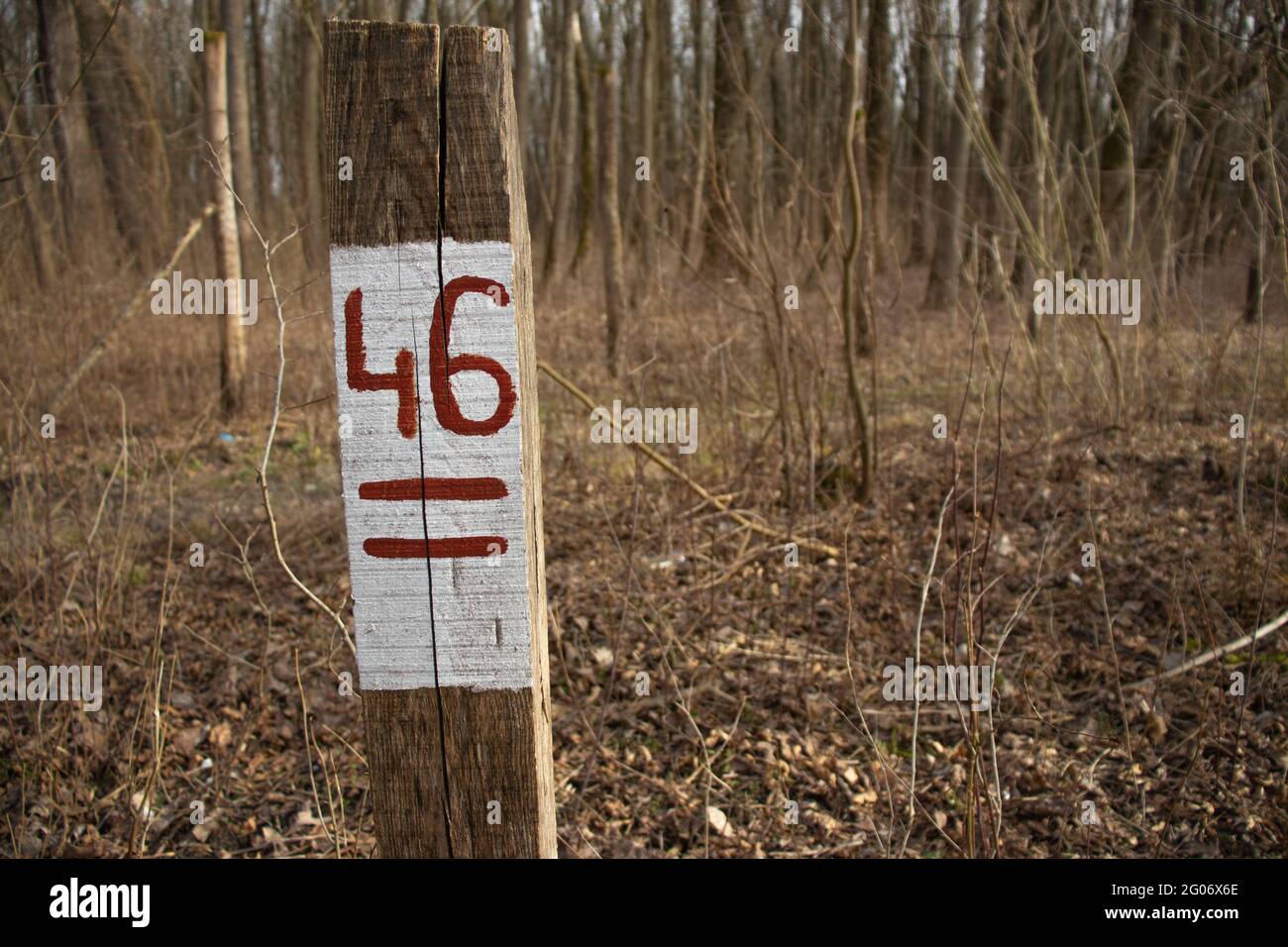 Pilier numéro 46 dans les bois Banque D'Images