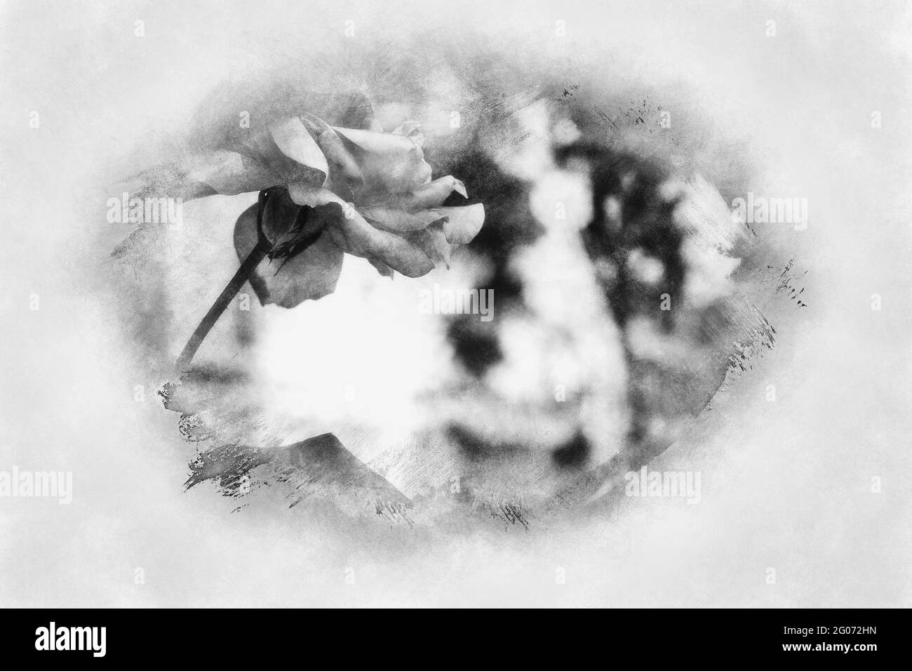 Plantes en pots et fleurs dans les rues de Marbella, Malaga Espagne dessin noir et blanc Banque D'Images