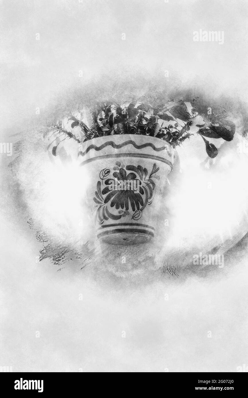 Plantes en pots et fleurs dans les rues de Marbella, Malaga Espagne dessin noir et blanc Banque D'Images