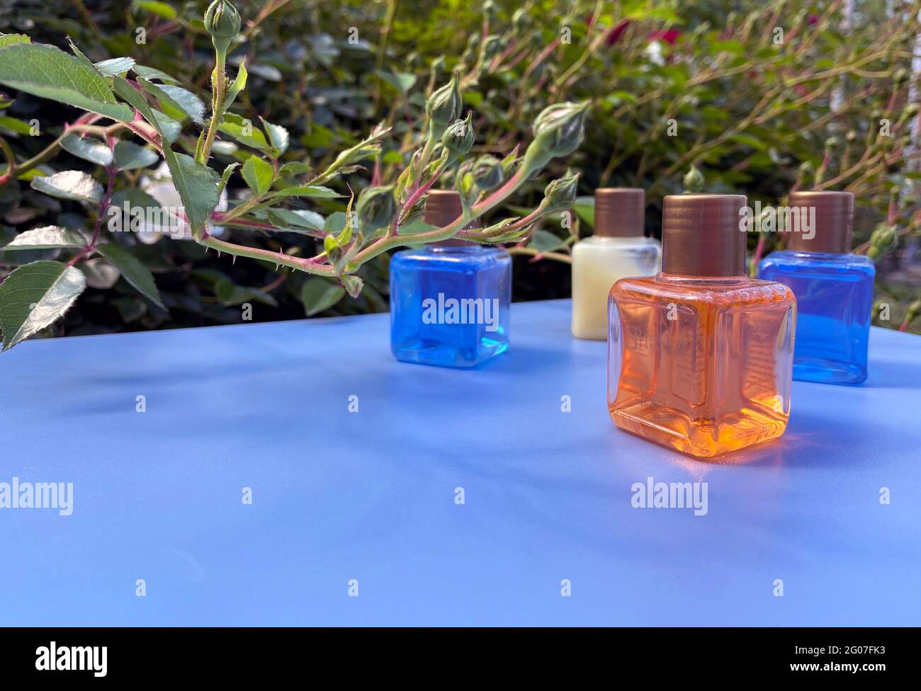 Mini-bouteilles avec produits cosmétiques sur fond bleu avec feuilles et ombres. Équipements de l'hôtel SPA et CONCEPT VOYAGE. Banque D'Images