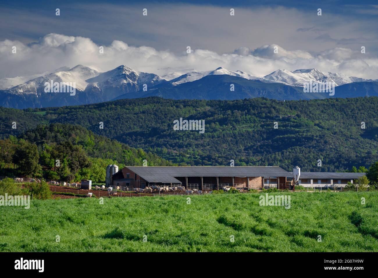 Vues depuis le village de Sant Bartomeu del Grau au printemps, avec les Pyrénées en arrière-plan (Barcelone, Catalogne, Espagne) Banque D'Images