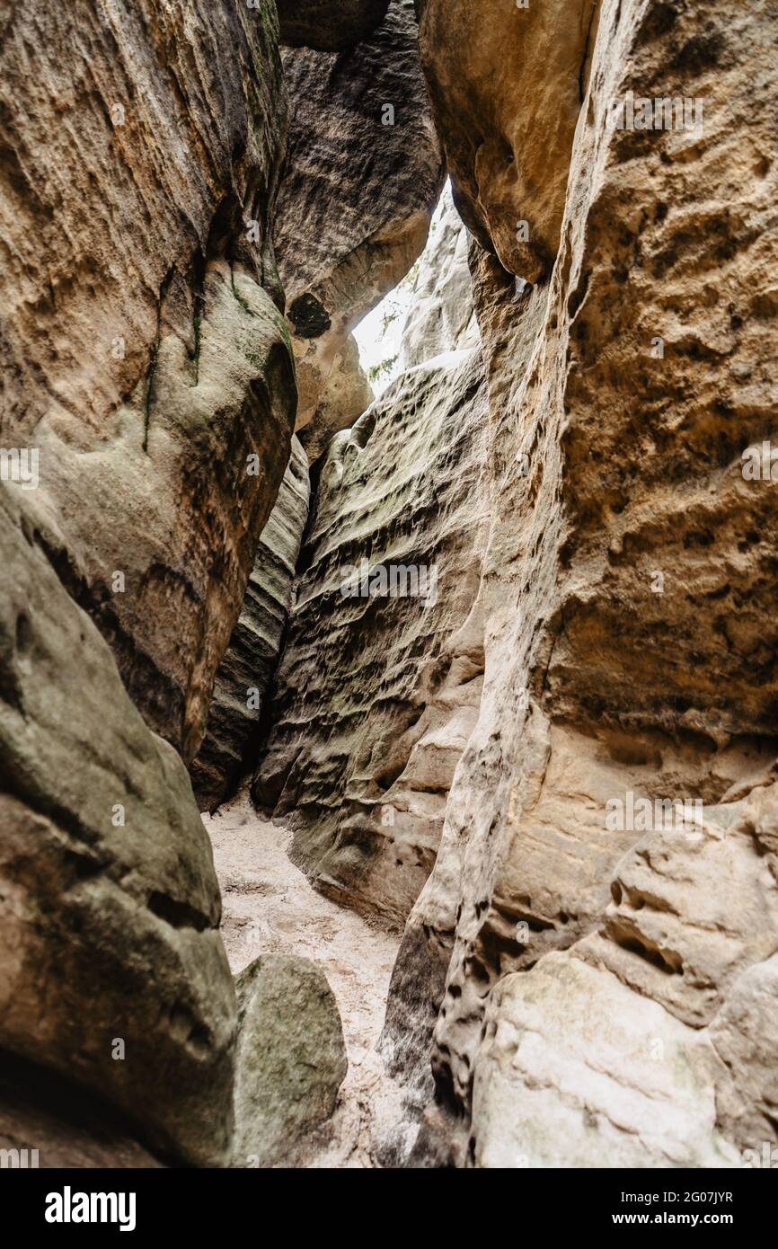Cat Rocks près de la réserve naturelle d'Ostas, région de Broumov, République Tchèque. Vue sur les rochers, bizarre Formations de grès.petite ville naturelle avec labyrinthe de roche Banque D'Images