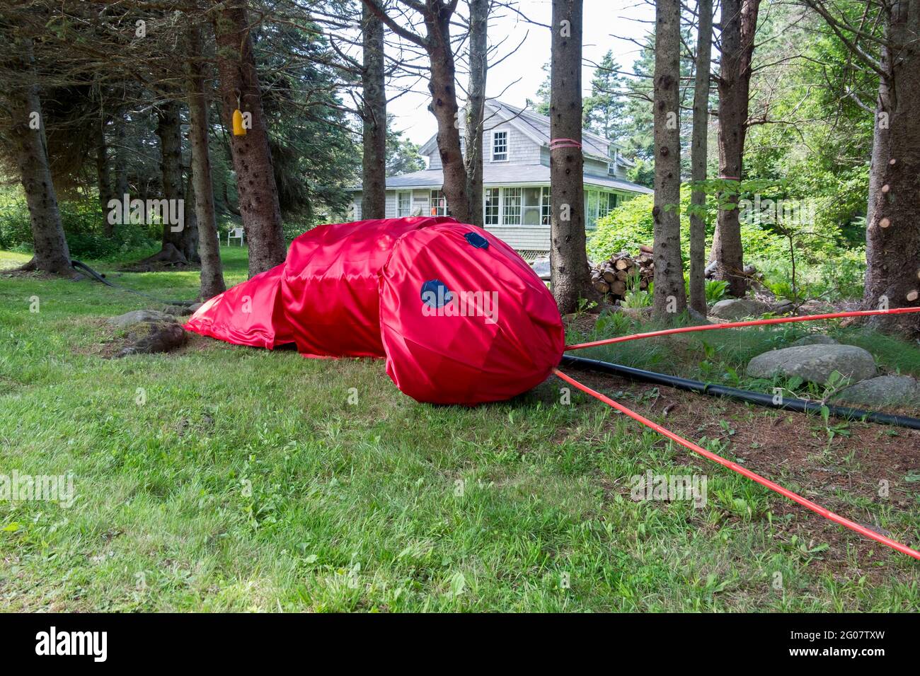 Un grand modèle de homard rouge, amusant, flottant, fait pour une parade pour célébrer le quadricentenaire en 2014. Sur l'île Monhegan dans le Maine. Banque D'Images